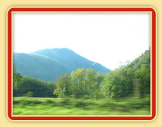 Agrandir l'image