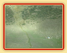 Agrandir l'image